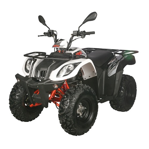 [해외] 카요 AU200 200CC 스포츠 ATV (구매대행)