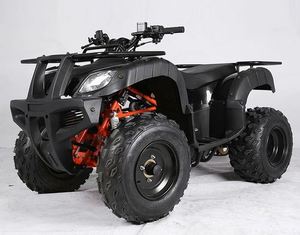 [해외] 카요 AU150 150CC 스포츠 ATV (구매대행)